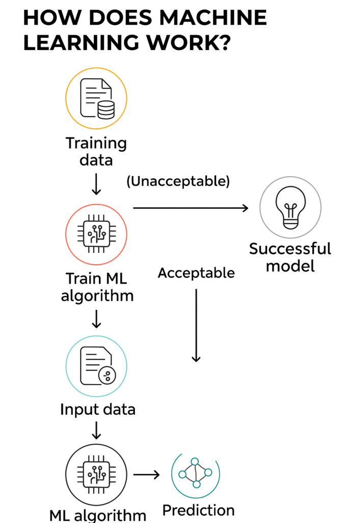 A vertical flowchart infographic titled "HOW DOES MACHINE LEARNING WORK?" shows five main stages in the machine learning process. It begins with "Training data" represented by a document and database icon, leading down to "Train ML algorithm" with a microchip icon. Two arrows extend from this step: one labeled "Unacceptable" points right to "Successful model" with a lightbulb icon, while the other labeled "Acceptable" continues downward to "Input data" with a document icon. The flow continues to "ML algorithm" with another microchip icon and ends at "Prediction," shown as a network node icon. Each stage is enclosed in a colored circular outline.